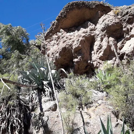 Casa Cueva Juncalillo Garden *