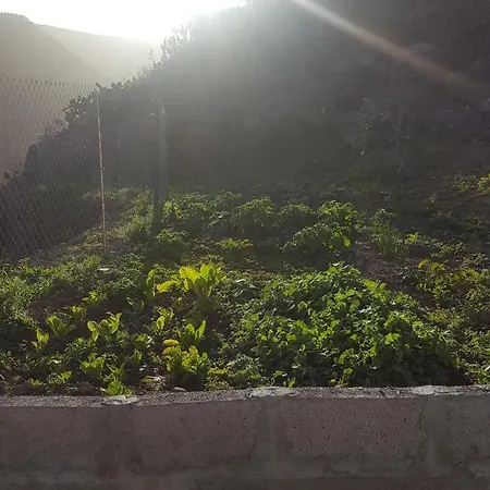 Casa Cueva Juncalillo Garden בית כפרי