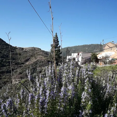 Séjour à la campagne Casa Cueva Juncalillo Garden *